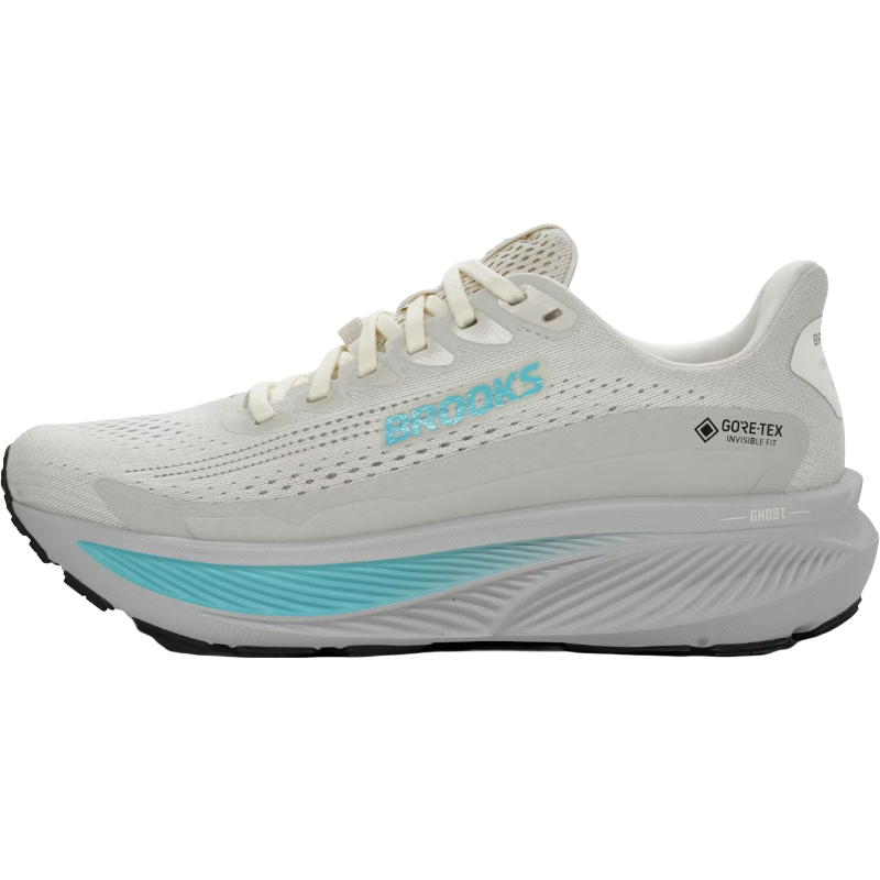 Brooks Ghost 17 GTX